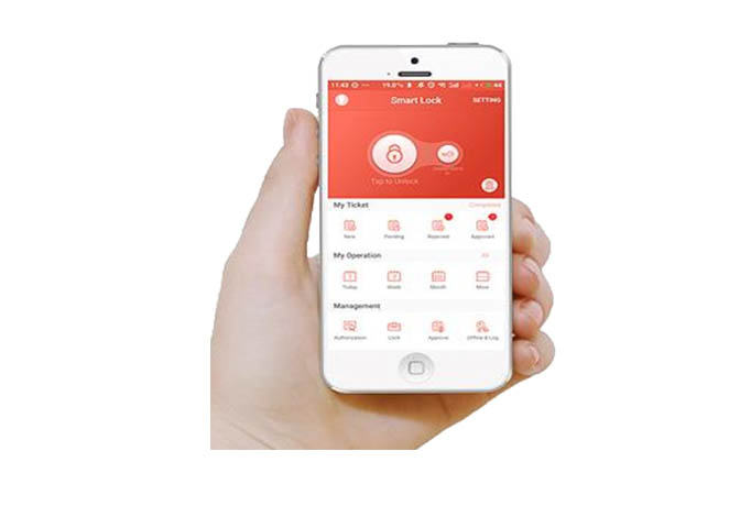 Mobile Application